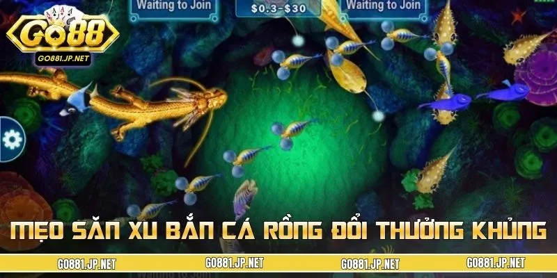 Ưu tiên nâng cấp đạn khi bắn hạ cá khủng